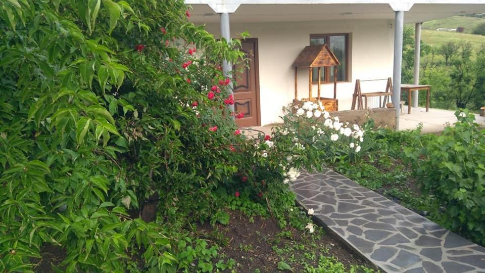 Amoj B&B And Guest House Alaverdi Exterior foto