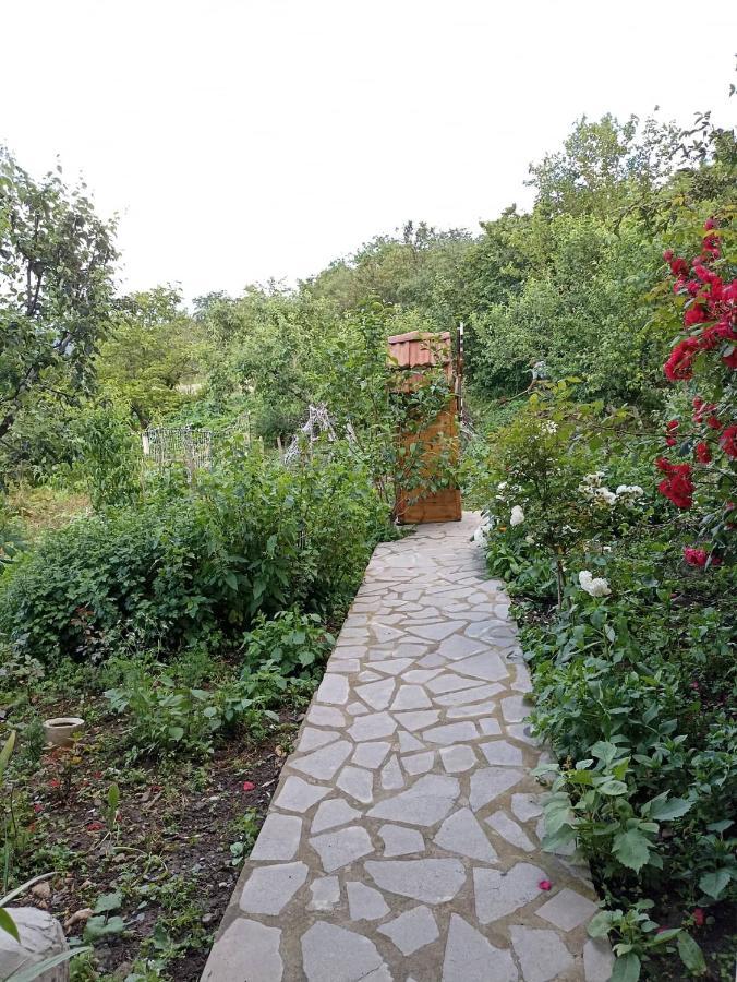 Amoj B&B And Guest House Alaverdi Exterior foto